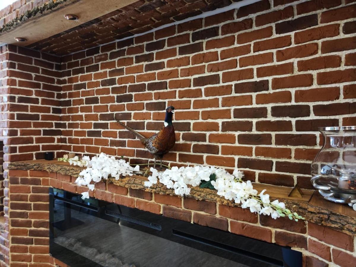 Hotel Curtea Domneasca Vaslui Zewnętrze zdjęcie
