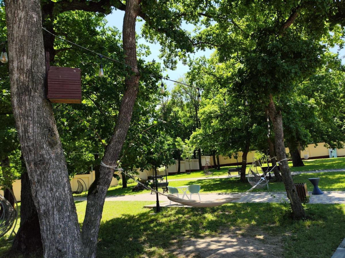 Hotel Curtea Domneasca Vaslui Zewnętrze zdjęcie